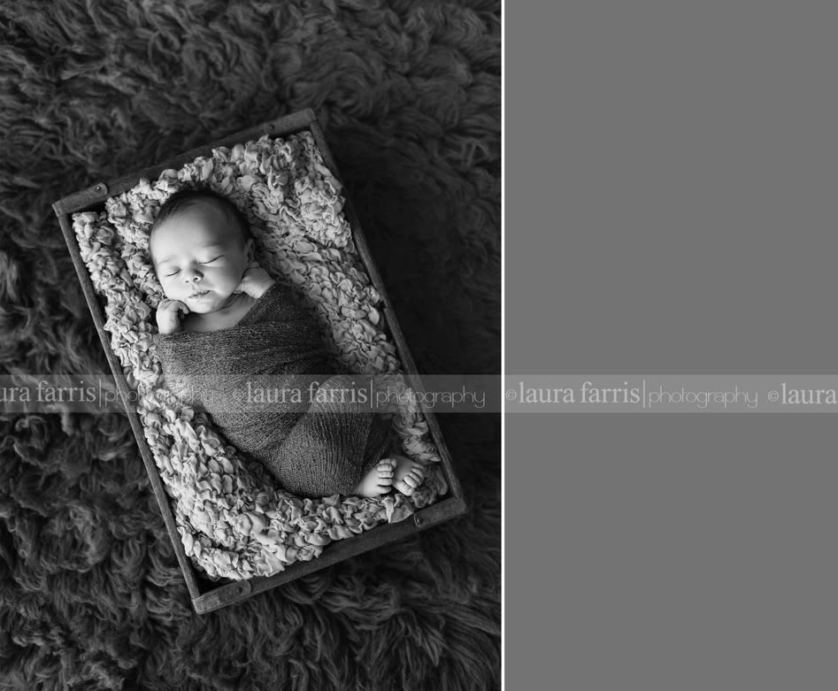 Boise baby photographer