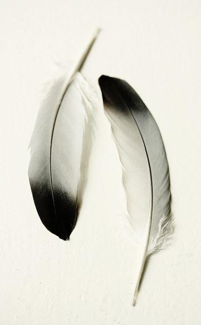 http://www.pinterest.com/pin/79868593361125789/ Gorgeous photo by Kerry Pitt-Hart
