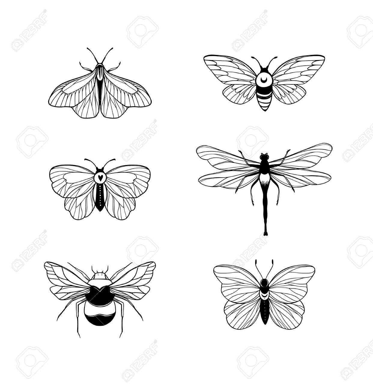 Insect Mandala Vector Line Art Style 29 SVG File