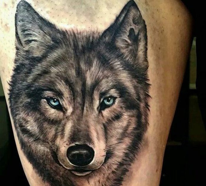 Grauer Hund Mit Blauen Augen Augen DE