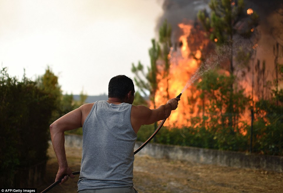 Grandes partes da Europa estão enfrentando incêndios ameaçadores depois de uma primavera seca e verão. Este homem em uma vila perto de Macinhata do Vouga, no centro de Portugal usa uma casa de jardim insignificante para combater chamas em fúria perto de sua propriedade