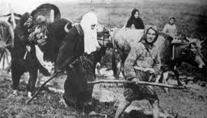 Gjenocidi Serb