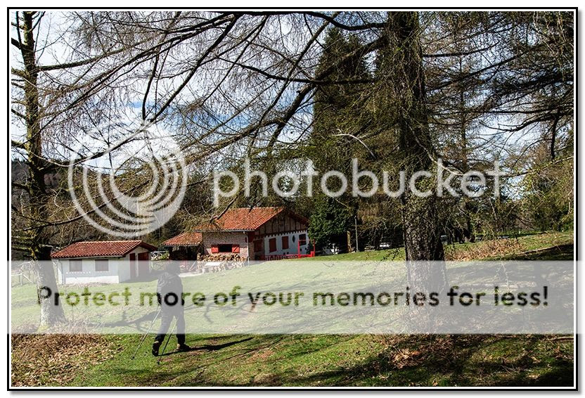 Photo Sharing and Video Hosting at Photobucket