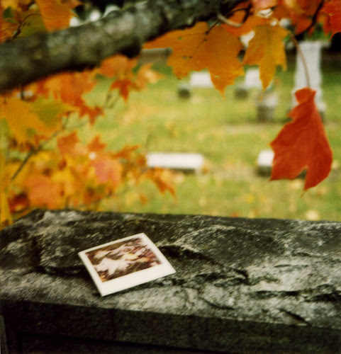 Gift on an Autumn Grave