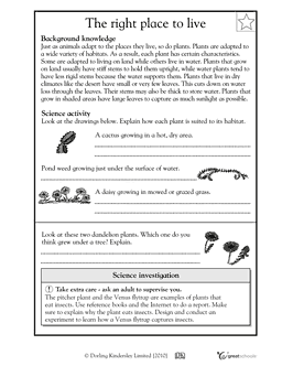 animal worksheet: NEW 312 ANIMAL ADAPTATION WORKSHEET 4TH GRADE
