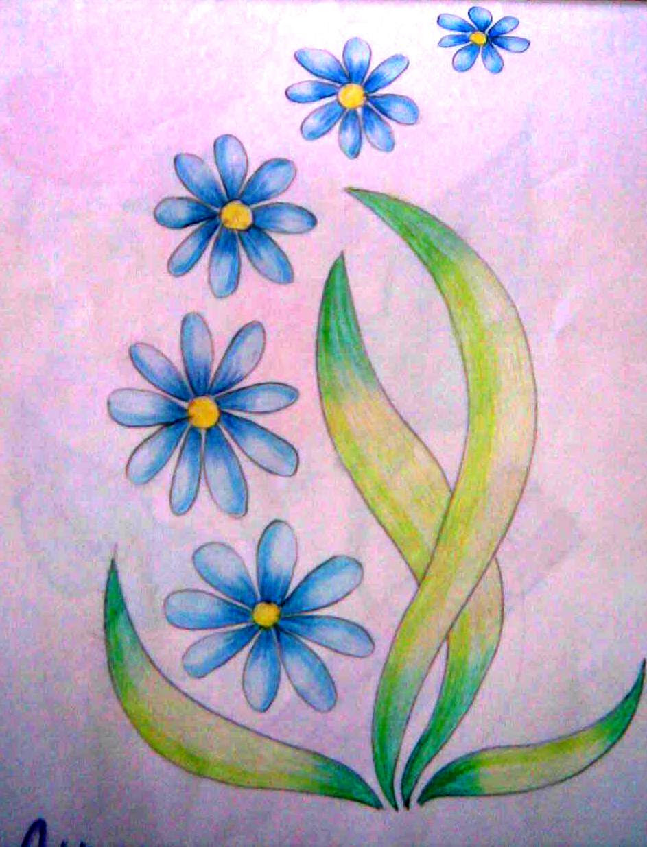 Flower Drawing Colour Video / Drawing and coloring make you smile