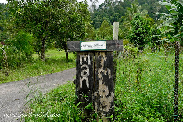 Aman Rimba