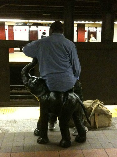 A man & his elephant