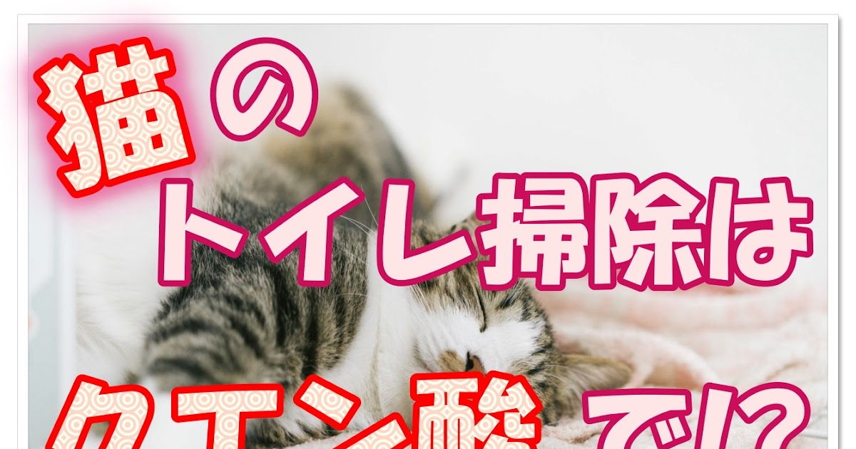 猫 トイレ 臭わ ない 砂