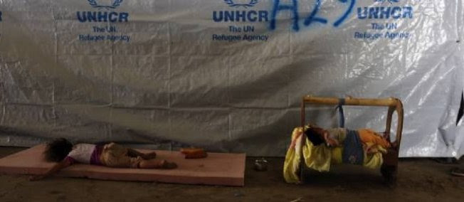 Les réfugiés ont trouvé un abri précaire dans le camp de Bahirka à Erbil, le 12 août 2014.