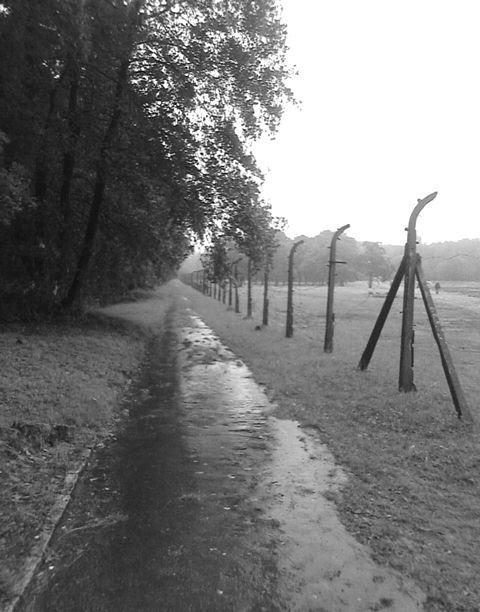Buchenwald Buchenwald