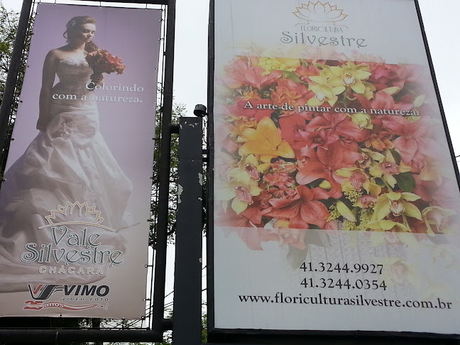 Floricultura Silvestre (Silvestre Eventos) - Sede