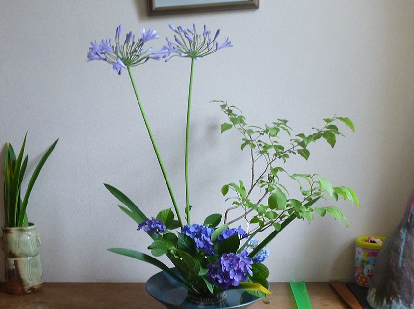 生活の中に花を｜岐阜県多治見市池坊いけばな稽古日記（生け花教室・華道教室） 【盛花】涼しげに生ける｜アガパンサス、アジサイ、ゴンスケ