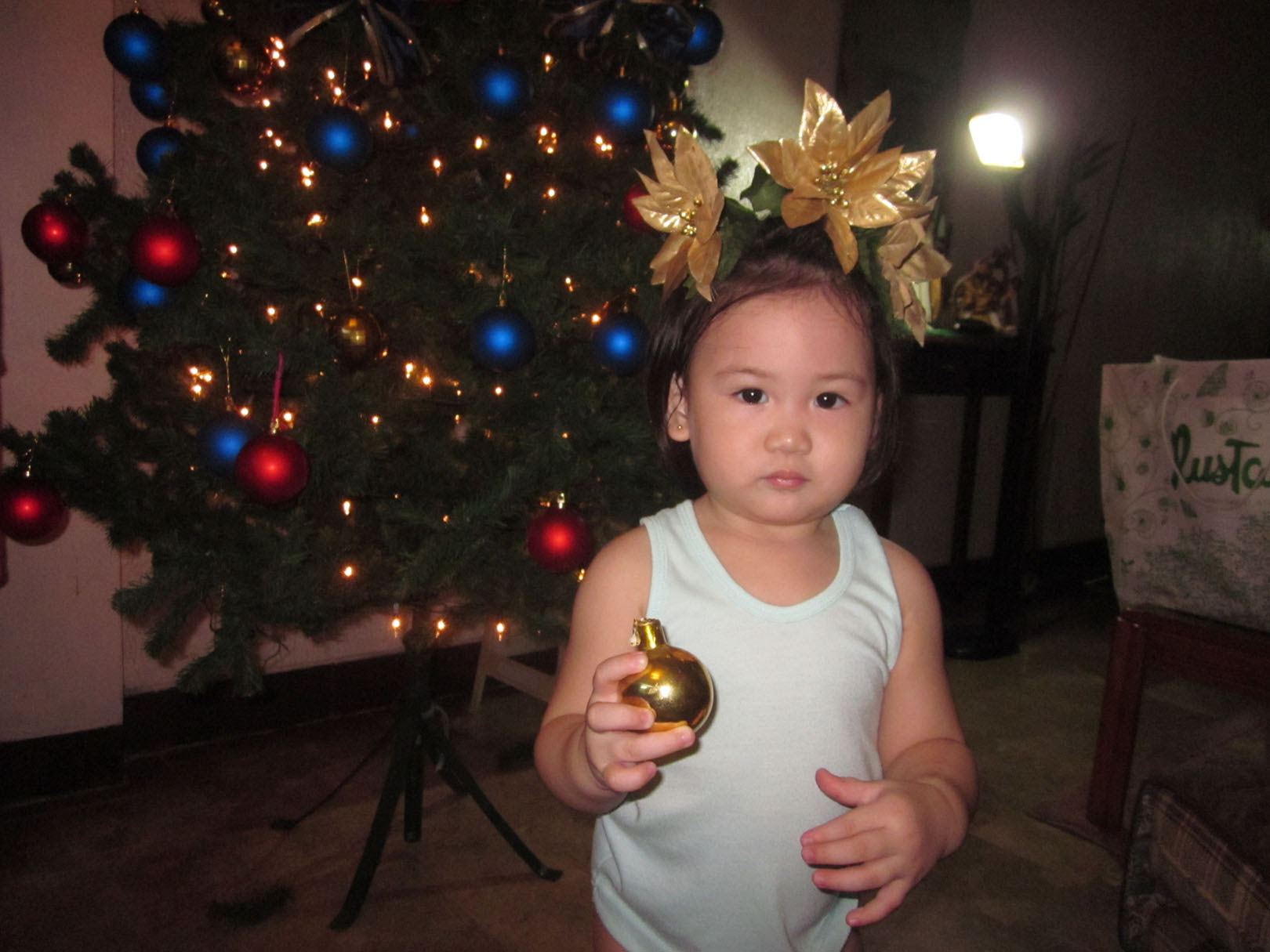 miley tree