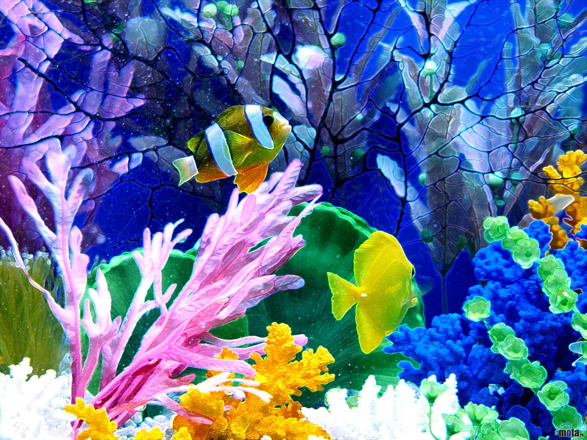 Рыбки аквариум обои. Подводный мир. Обои на рабочий стол аквариум. Обои яркие рыбки. Живые обои аквариум.