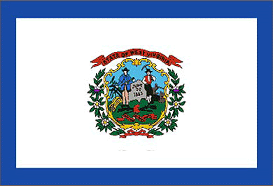 Losey blog: virginia flag