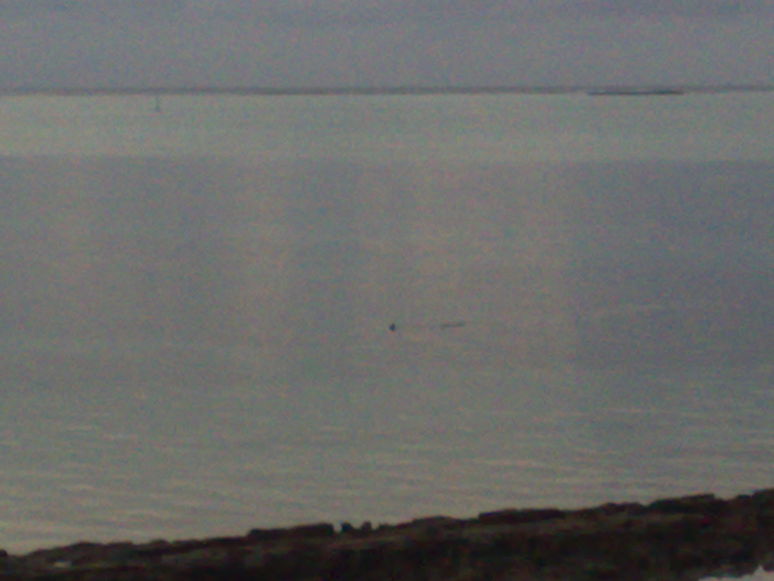 281120092270.jpg 281120092270.jpg