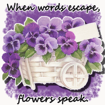 when words escape, flowers speak animated gif