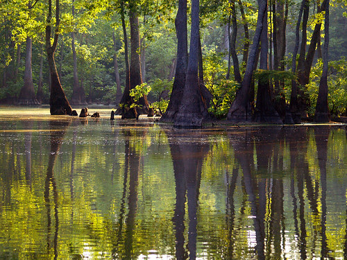 Hickson Lake