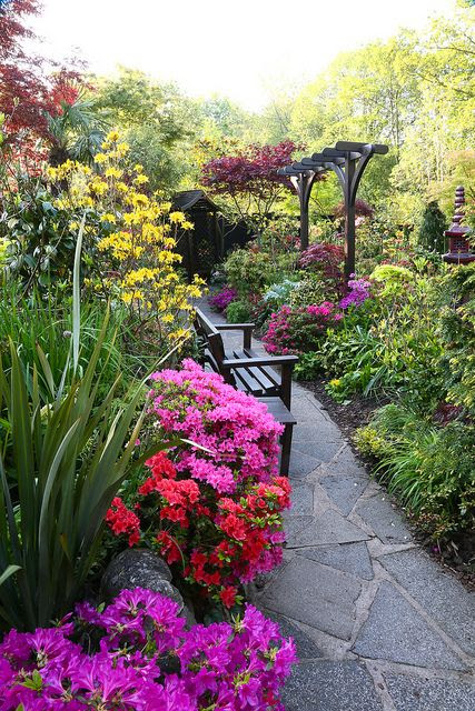 WildnessGrowings: Stone Garden Path