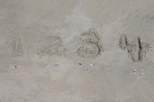 Montessori at the Beach: Numbers and Counters