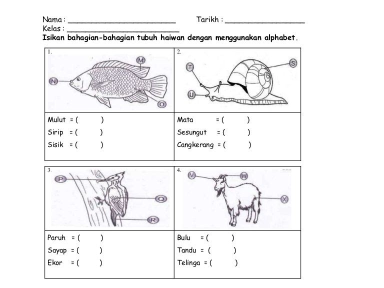 Soalan Bahasa Inggeris Prasekolah 6 Tahun - Apk Apk q