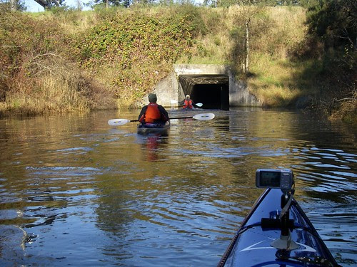 Into the Tunnel