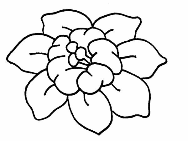 Featured image of post Desenhos Imagens De Flores Lindas Mais de 4 163 404 de imagens e fotos de flores para escolher e voc n o precisa se registrar