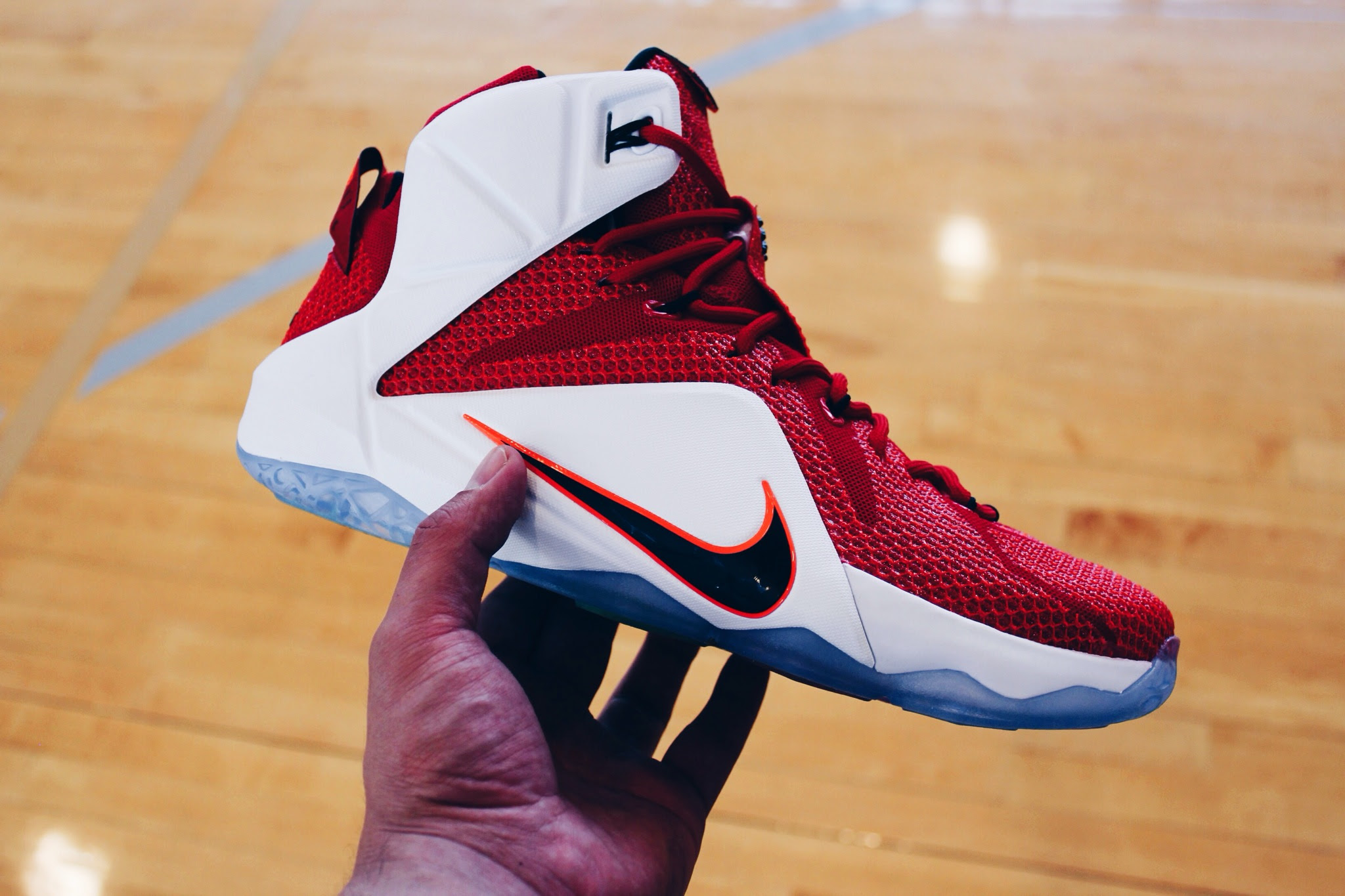 nike lebron with lion