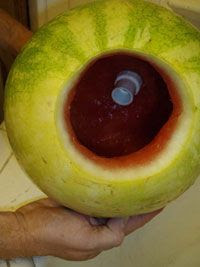 Sandia SelfService para le verano