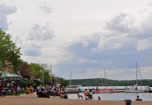 DSC09653