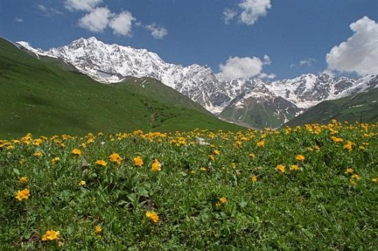 Upper Svaneti Pictures