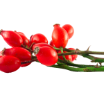 Herb-Hedgerow-Rosehips