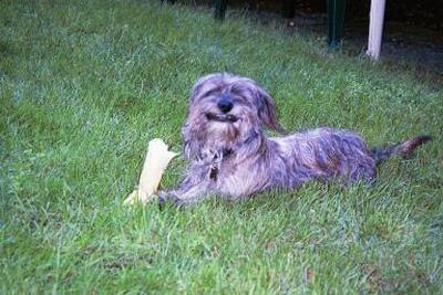 Smiley Stan