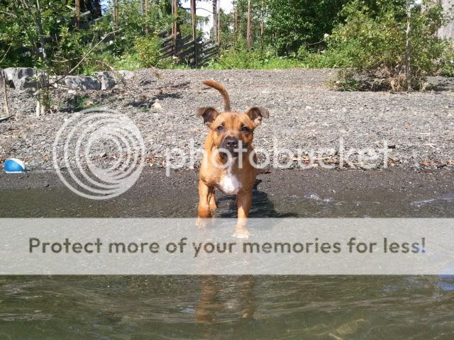 Photobucket