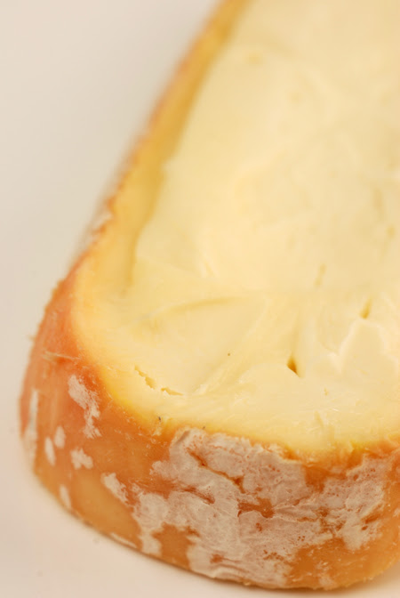 taleggio© by Haalo