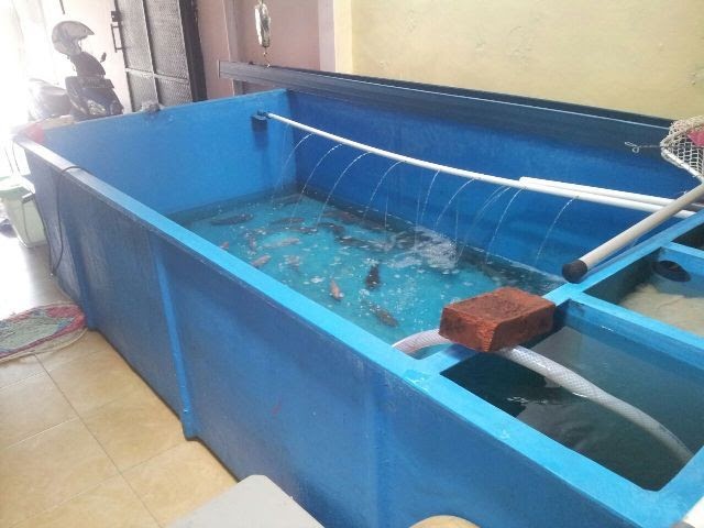 Harga Bak Fiber Kolam Ikan Bandung - KOLAMA