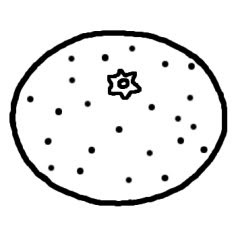最高のみかん イラスト 白黒 アニメ画像