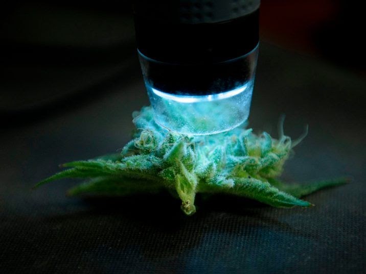 marijuana weed microscope weirdly producer