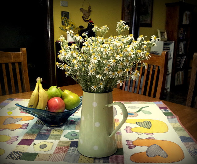 wild flowers