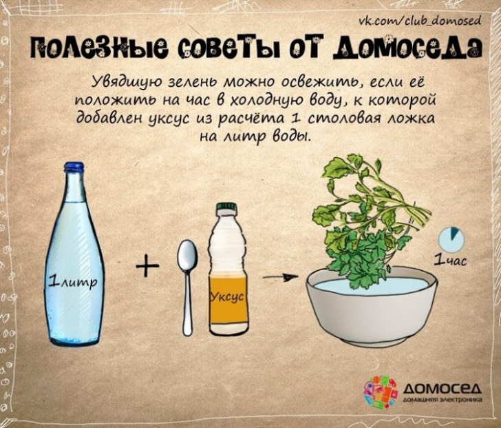 Полезные хозяйственные советы на каждый день Полезные хозяйственные советы на каждый день