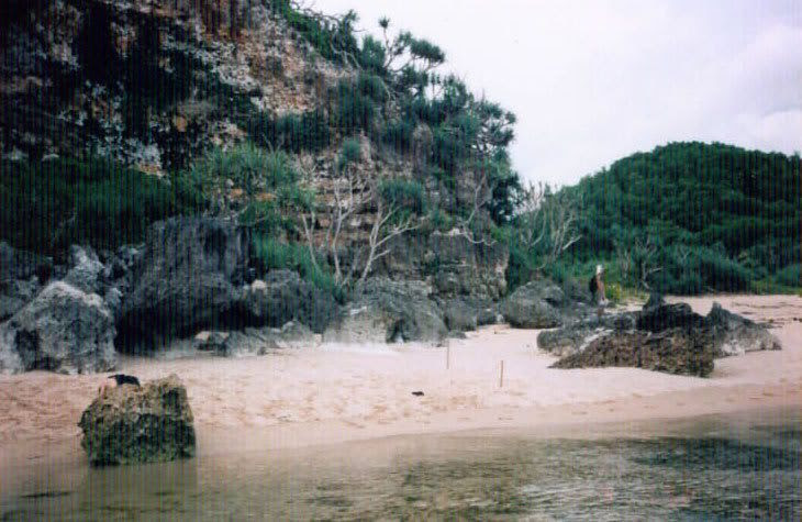 Click here to see a large version