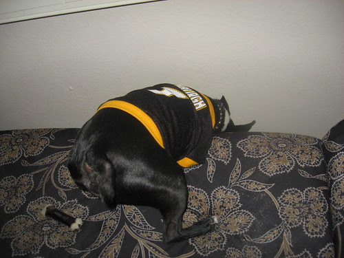 Joey is checking out the back of the bench
