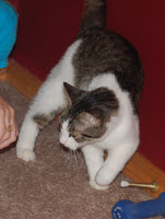 OscarArrives-2009.jpg
