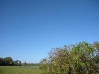 Free Image Hosting at www.ImageShack.us