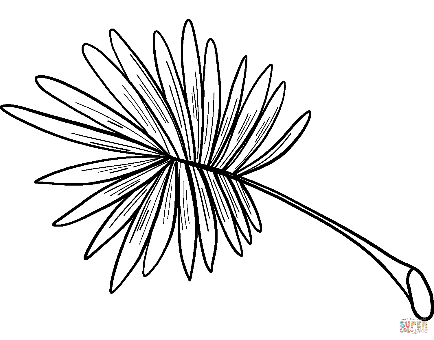 Palm Leaf Template