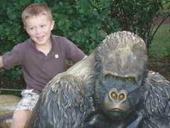 Kyler and the ape