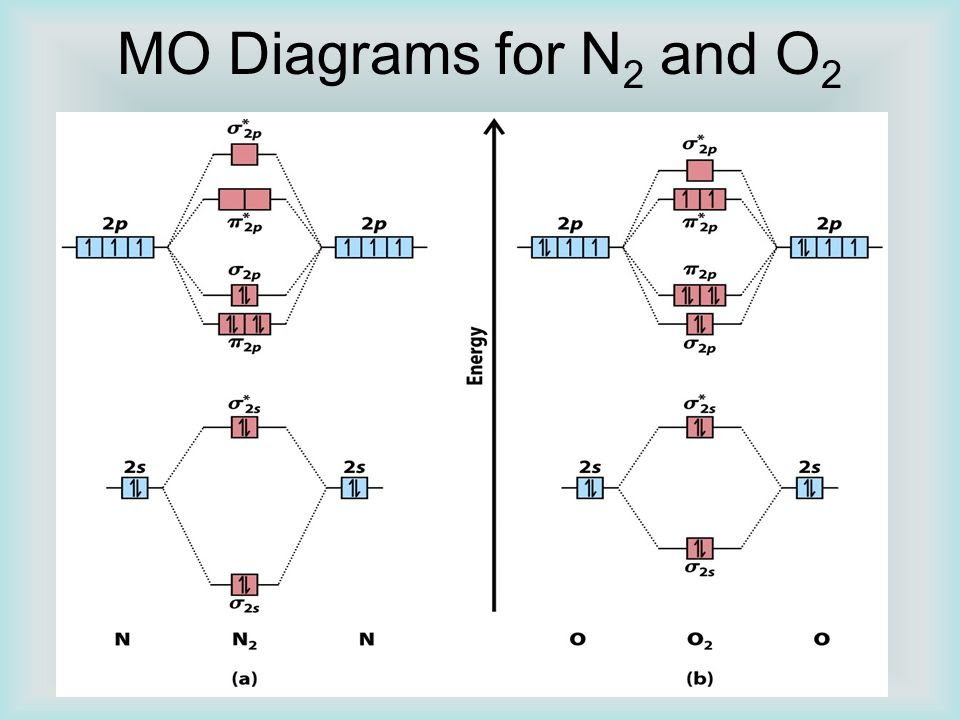 N2 Molecular Orbital Diagram - Free Diagram For Student