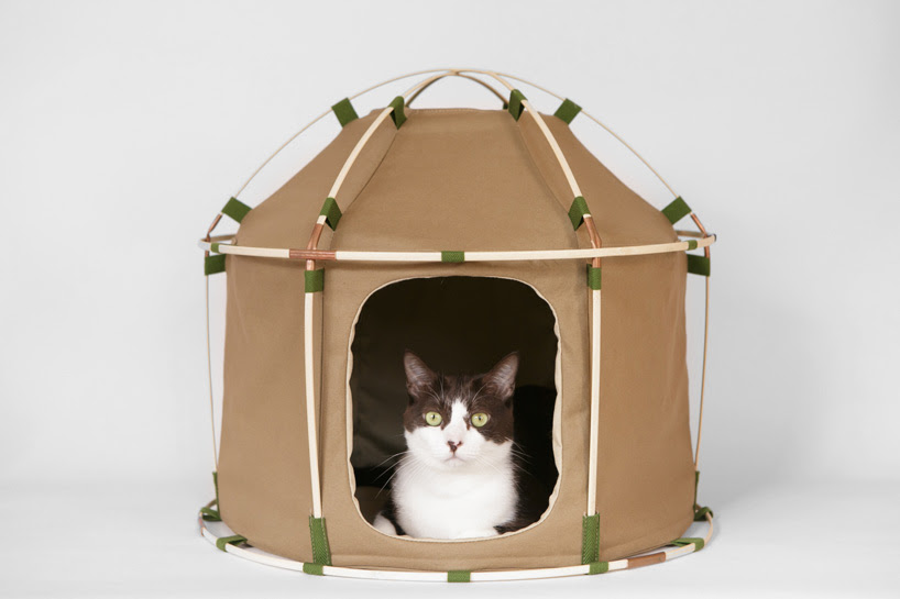 cat study house 41st century designboom