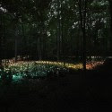 Impresionantes Bruce Munro Instalaciones LED iluminan los jardines de Longwood (22) Impresionantes Bruce Munro Instalaciones LED iluminan los jardines de Longwood (22) Cortesía de Bruce Munro